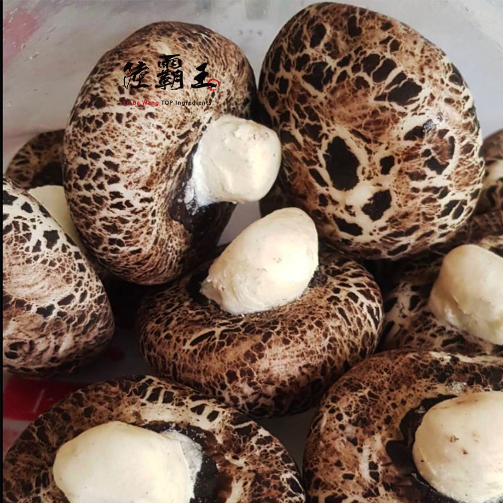 珍菇流沙包-奶黃  療癒系 萌香菇爆漿流沙包 香菇包 奶黃  10顆/包【陸霸王】