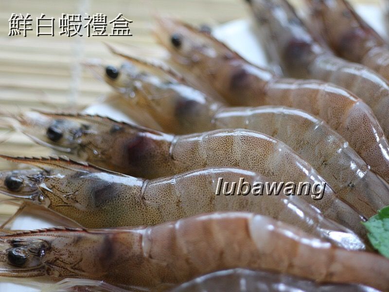 【2盒組】5號超級大白蝦/海藻蝦  850g/盒 42-51隻 【陸霸王】