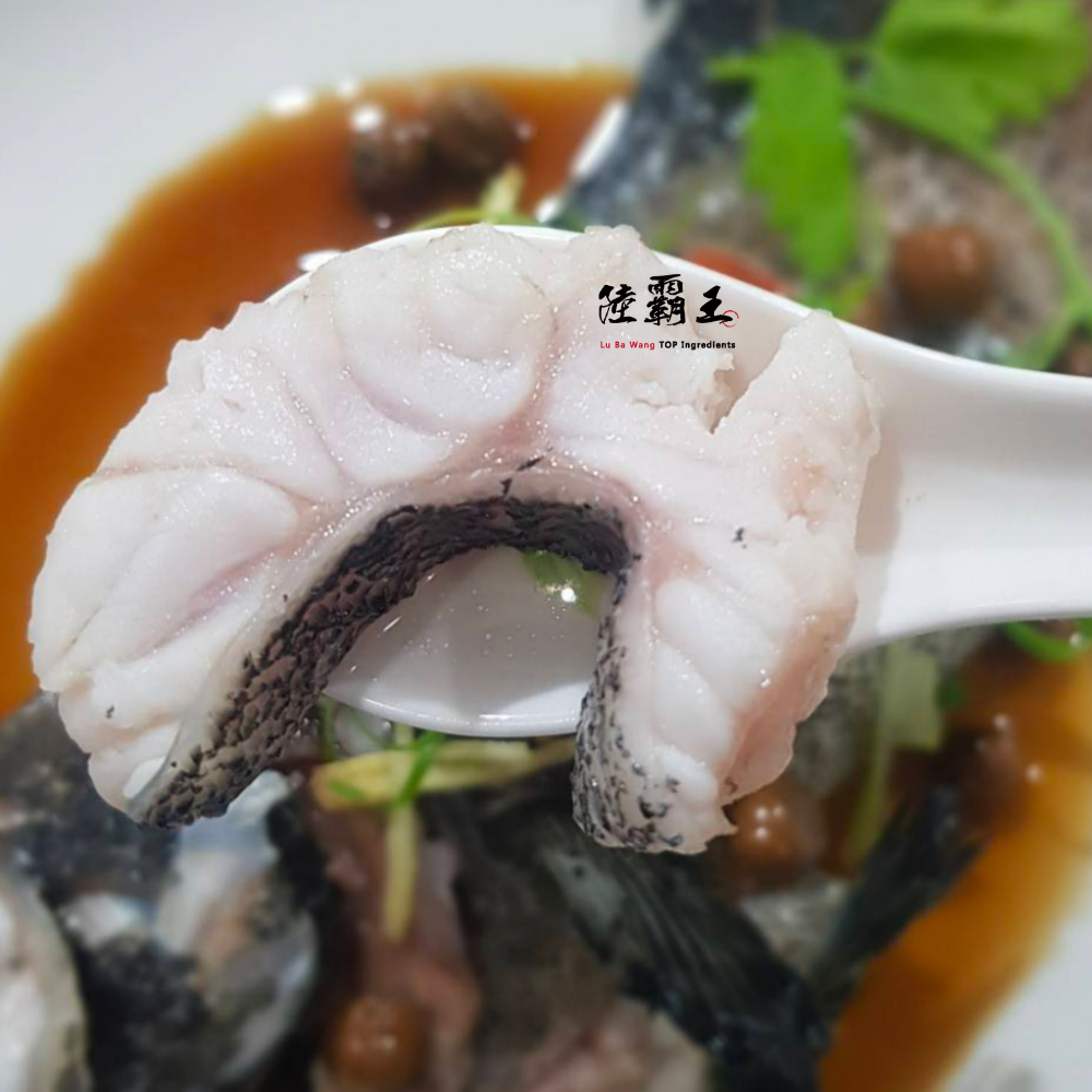 【龍虎石斑魚650G】三去真空  活體鮮凍 原價699 新品試吃價$520【陸霸王】