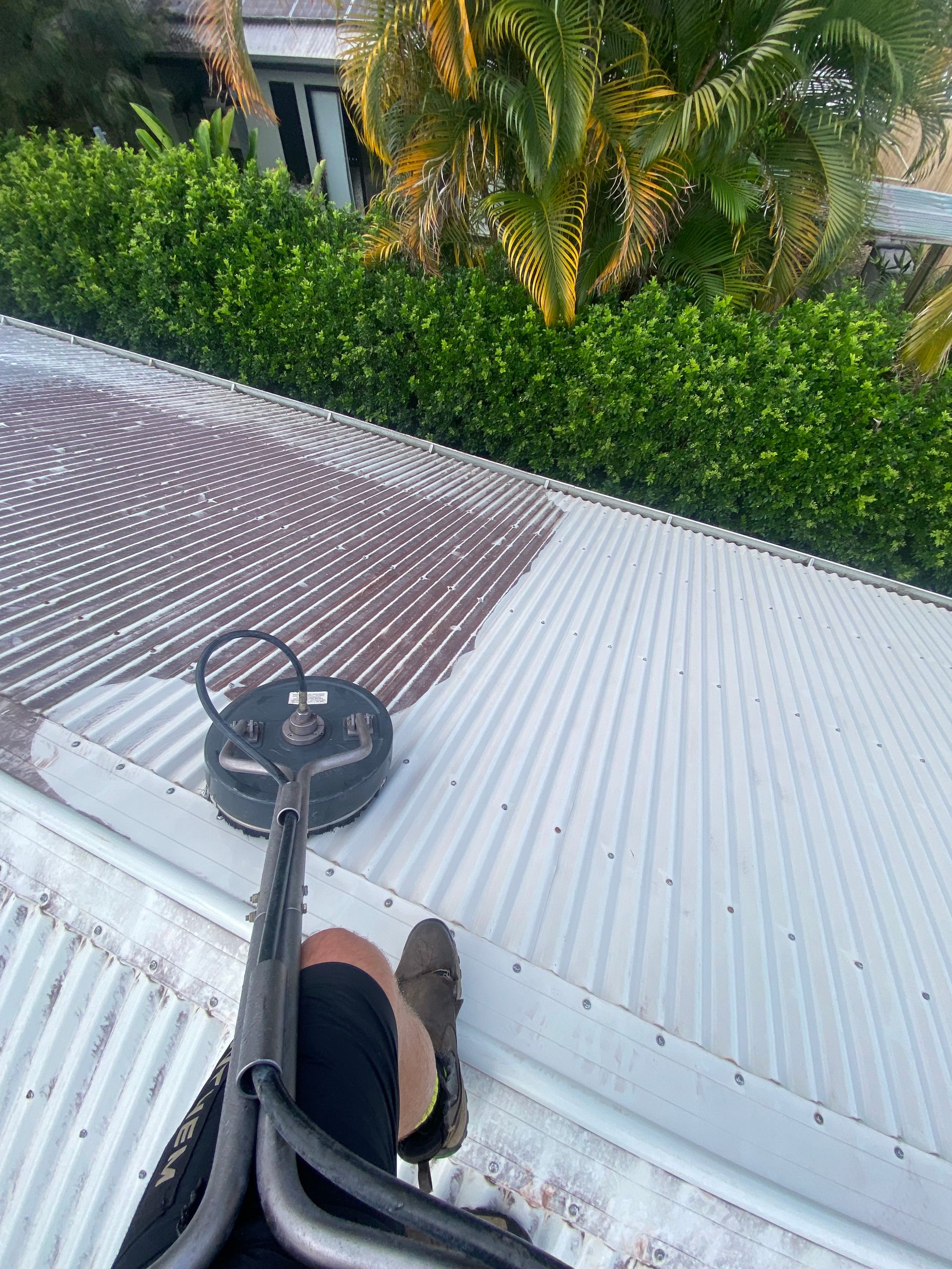 Person Power Washing a Red-tiled Roof, Removing Moss and Grime — Cairns Bin Cleaning In Parramatta Park, QLD