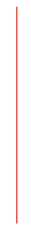 A red straw is sitting on a white surface.