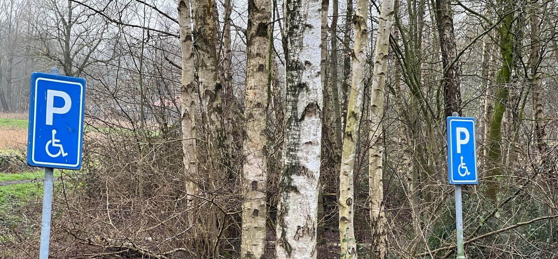 In het bos staan ​​twee gehandicaptenparkeerborden.