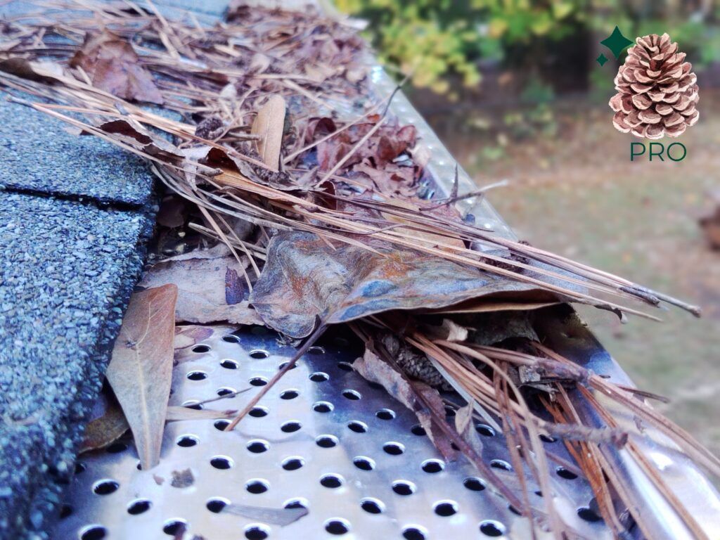 A metal gutter guard clogged with brown pine needles and dead leaves along the edge of a shingled roof.