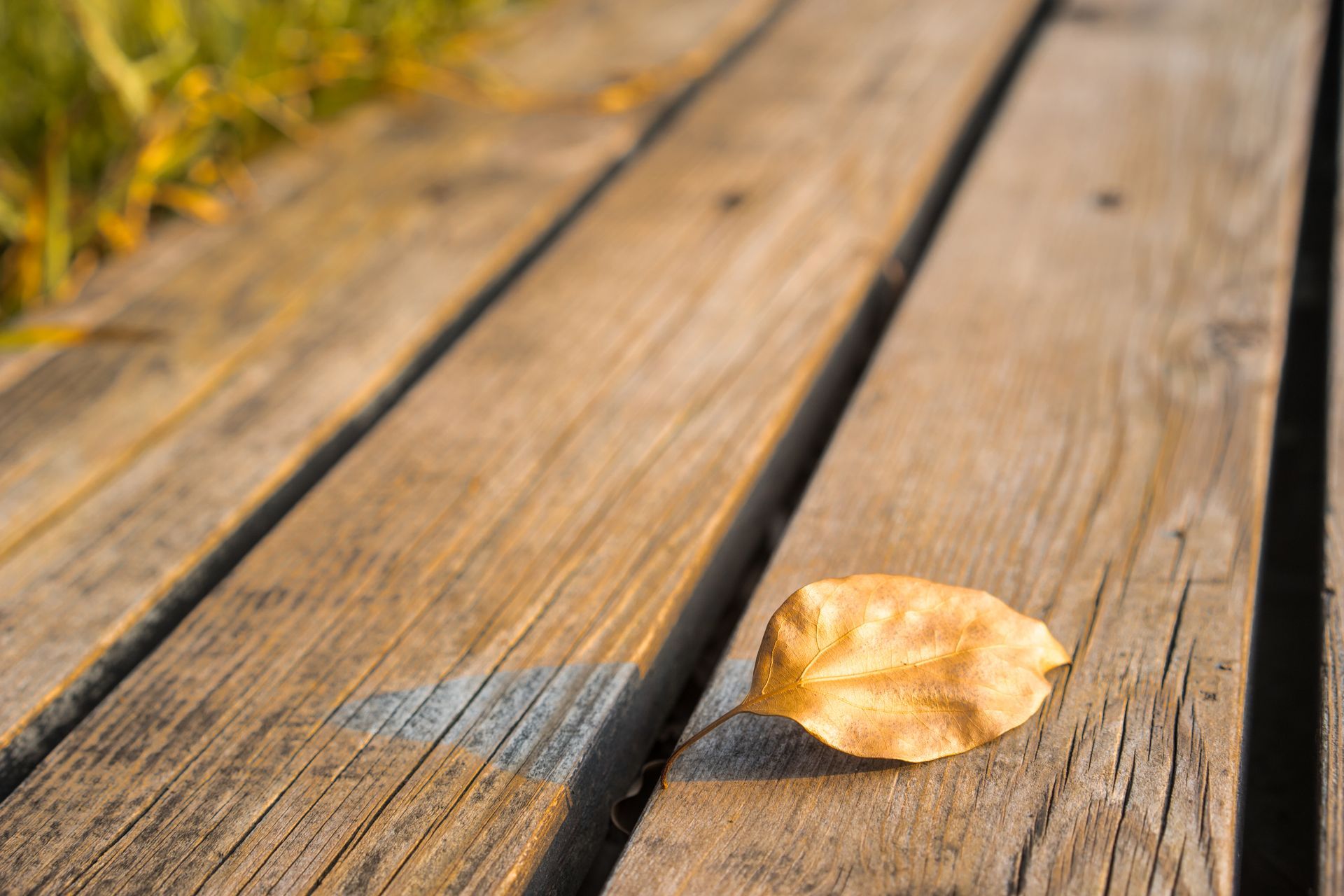 How to Prevent Mold and Mildew on Your Deck