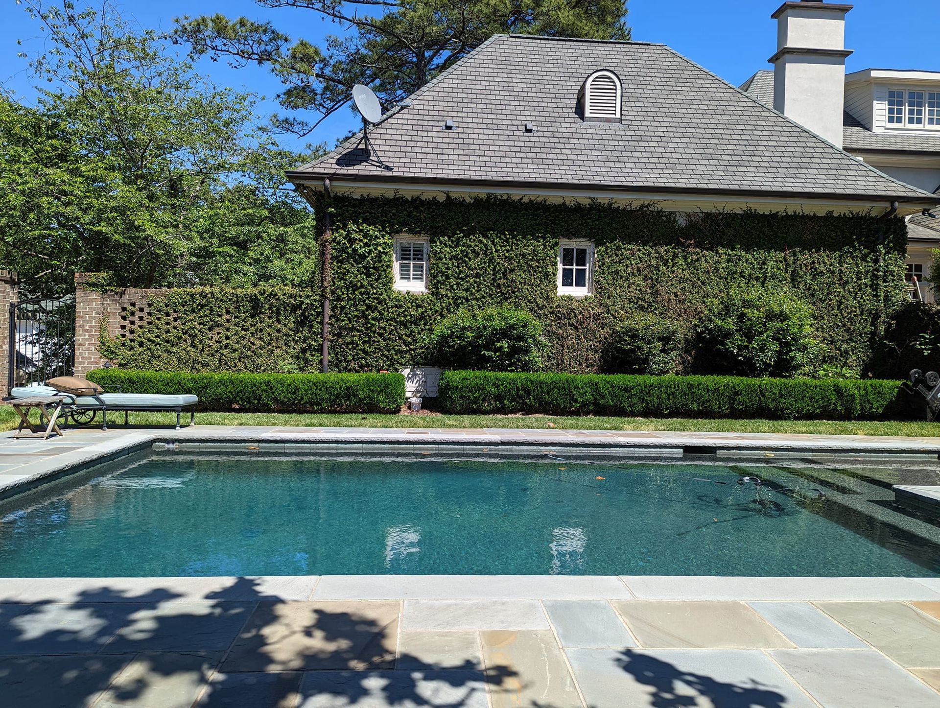 A rectangular swimming pool sits on a stone patio in front of a house covered in ivy with a gray shingle roof.