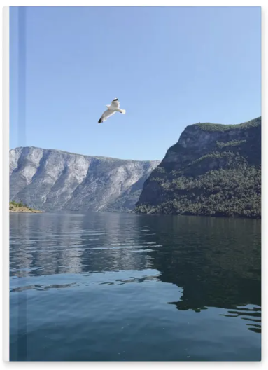 Norway Fjord Seagull Hardcover Journal, Scandinavian Travel Notebook, Nordic Gift, Hardcover Journal, Travel-Inspired Gifts