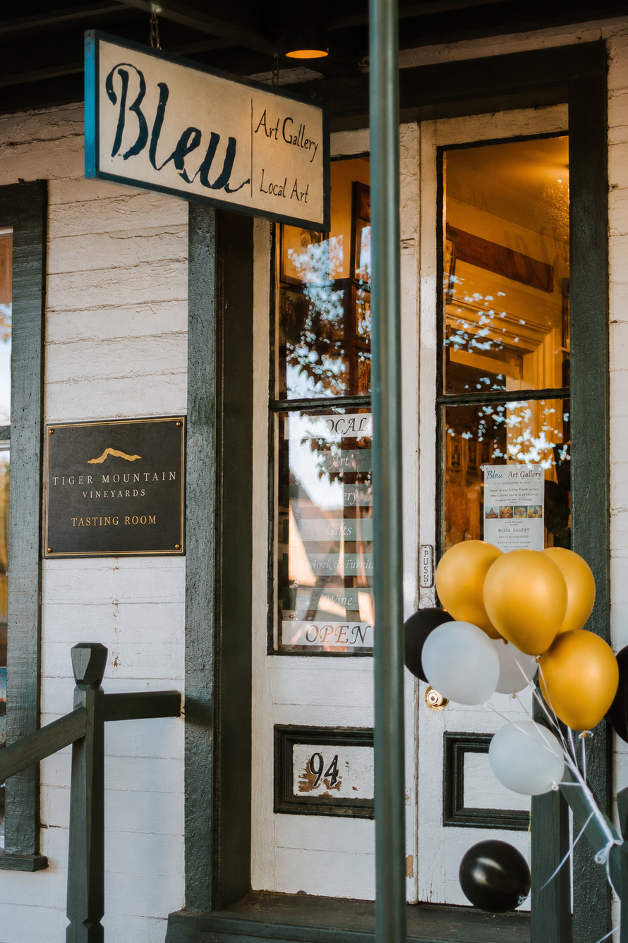 Tiger Mountain Vineyards Tasting Room in the Historic Dahlonega Square