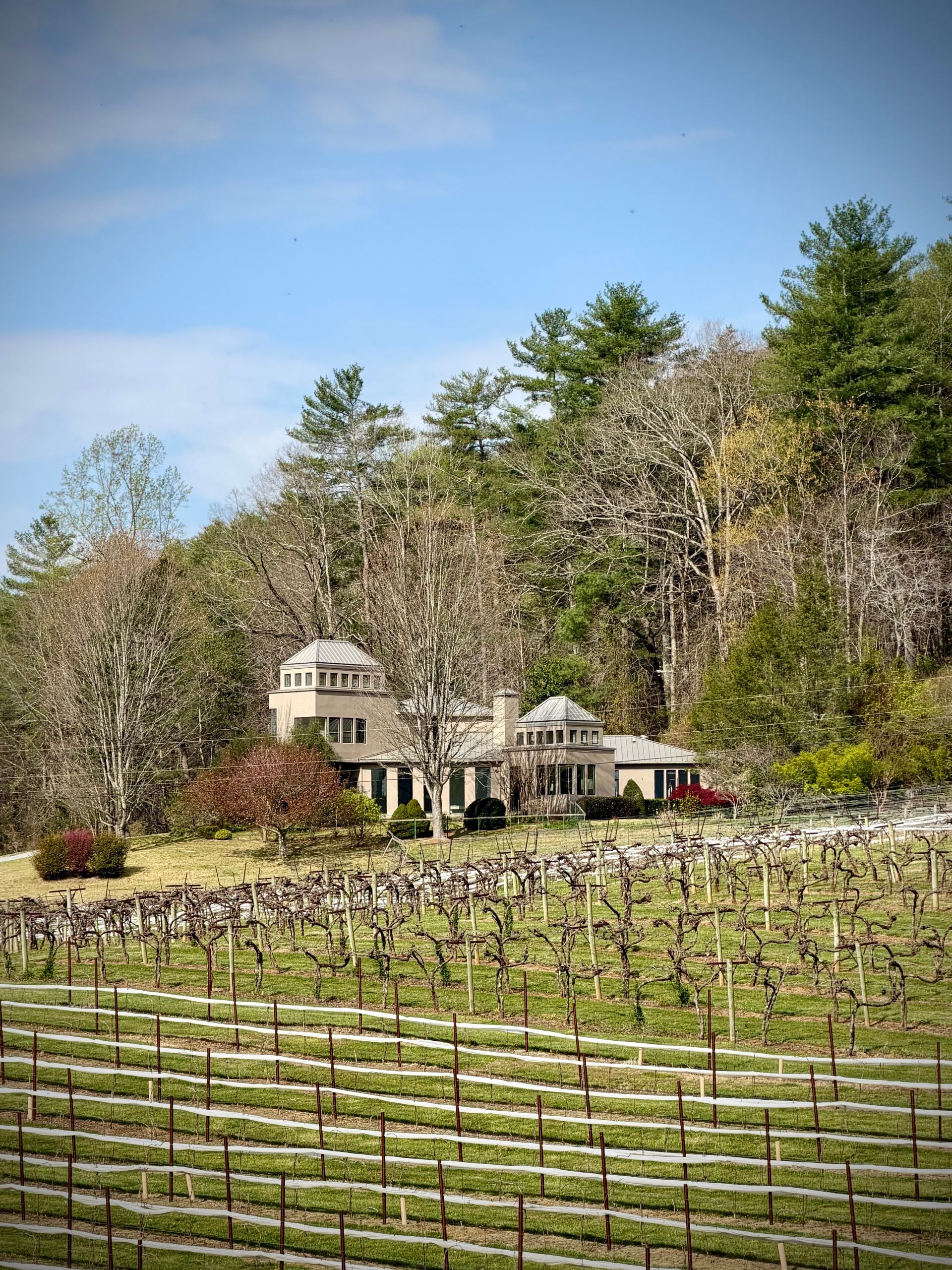 A picture of Tiger Mountain Vineyards’ Estate House