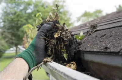 Gutter cleaning Wales