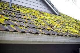 roof maintenance Delafield