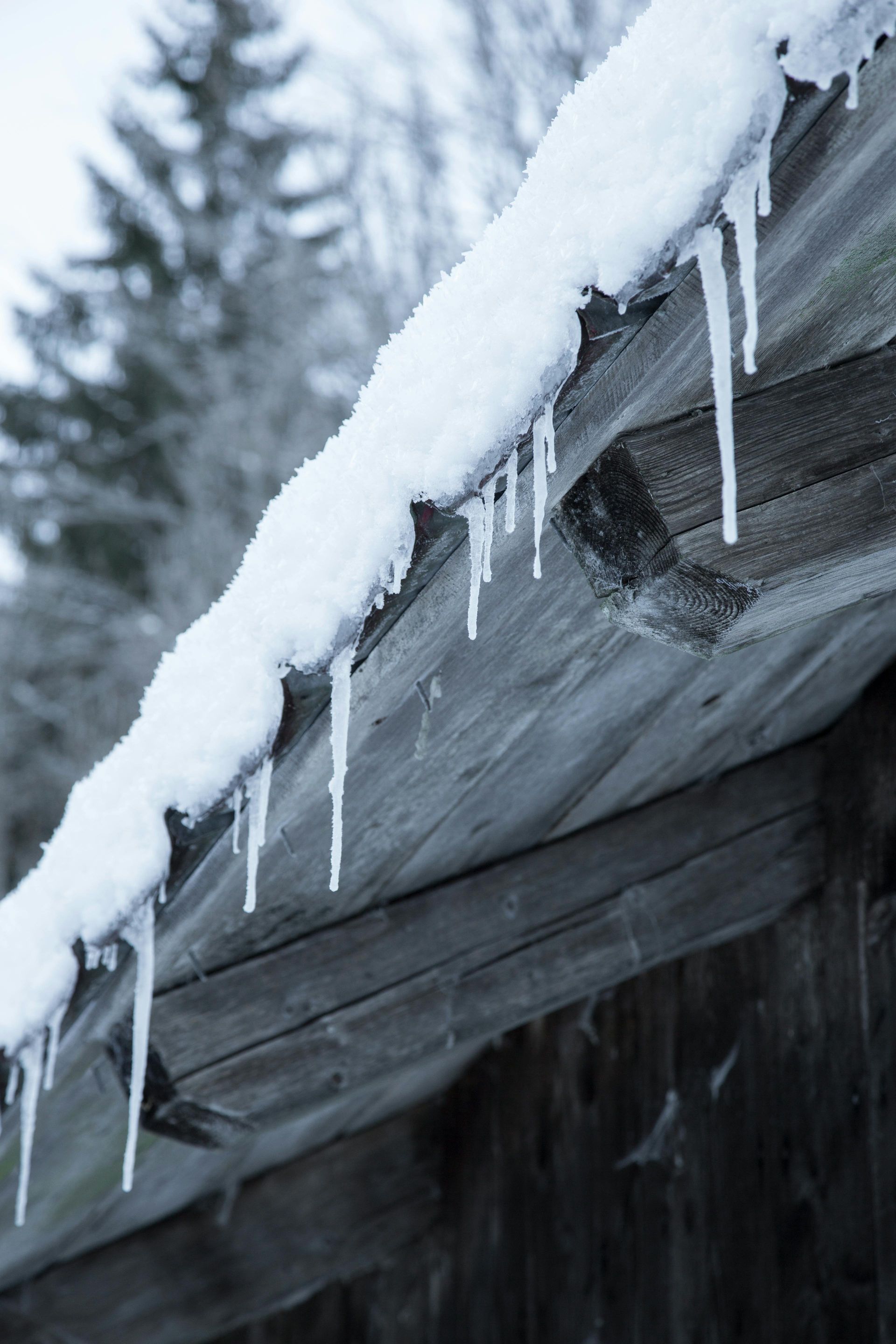 ice dam damage merton