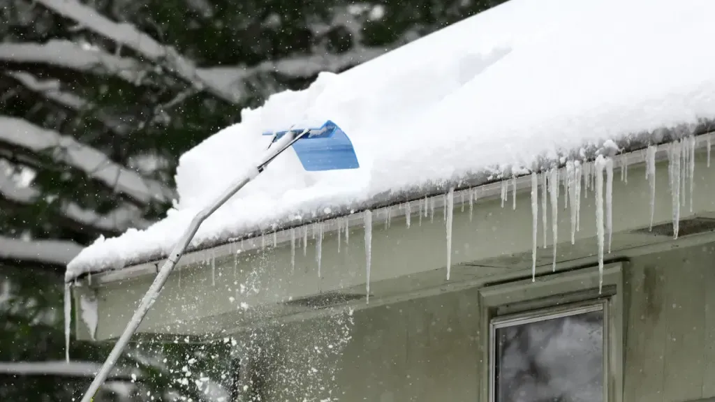 roof damage repair