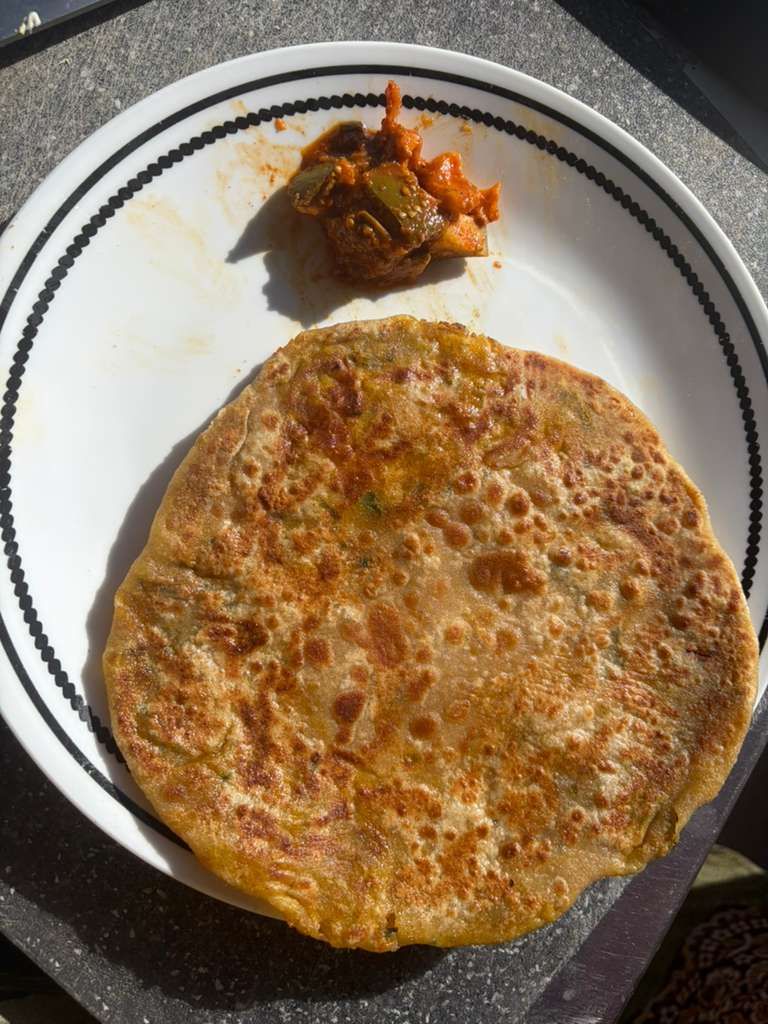 Flatbread and a small serving of curry on a white plate with black stripes, lit by sunlight.