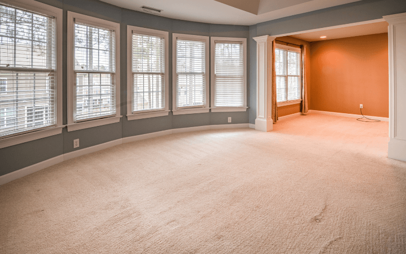 Empty room with bay windows, beige carpet, and blue-gray walls; an adjacent room has orange walls.