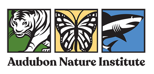 Audubon