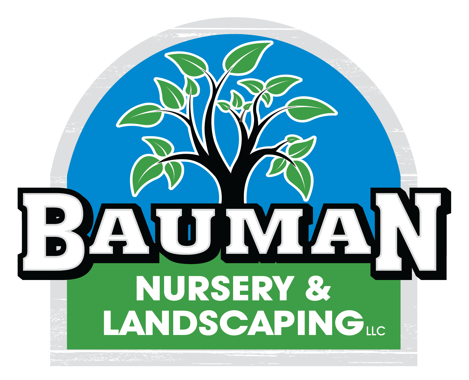 Logo for Bauman Nursery & Landscaping: Tree with green leaves over blue, "BAUMAN" over green banner.