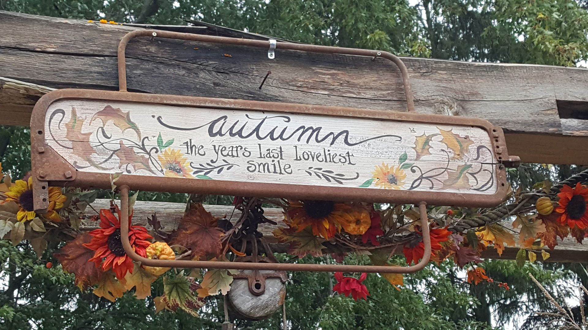 Rustic 