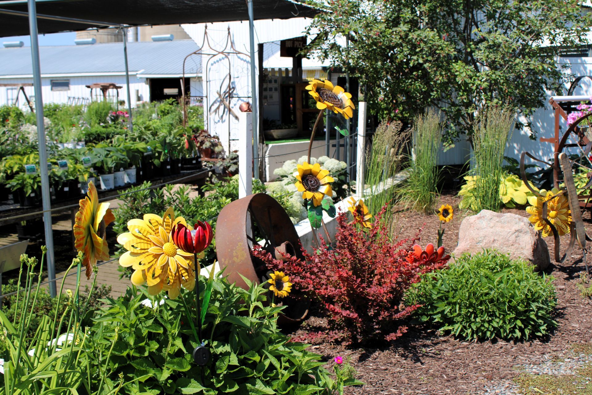 Garden scene with metal sunflowers, bushes, and a tilted rusty barrel.