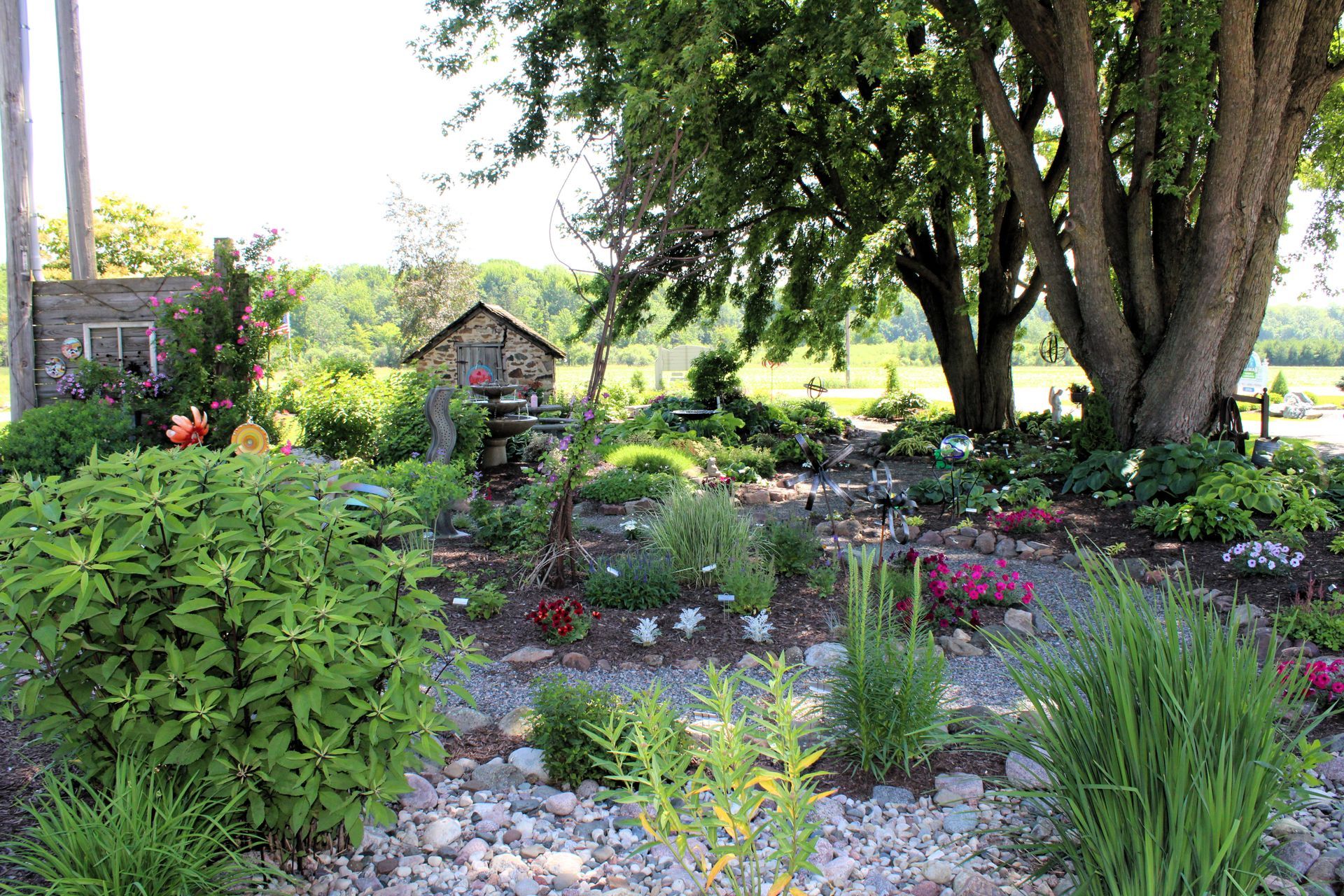 Colorful garden with diverse plants, a small wooden building, and large tree in the background.