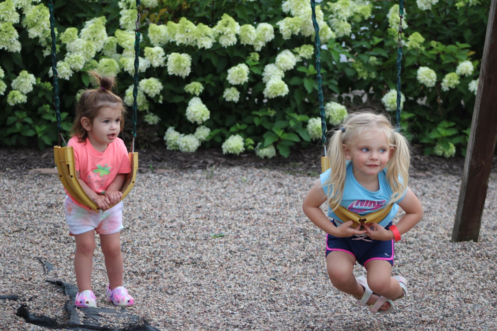 Two young children on swings in a park, one standing and the other seated. Green and white flowers are in the background.