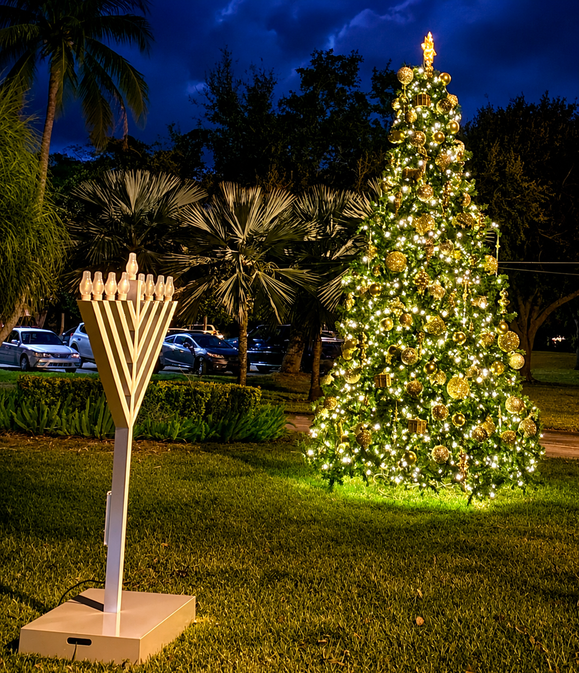 Lit menorah and illuminated Christmas tree in a grassy park at night