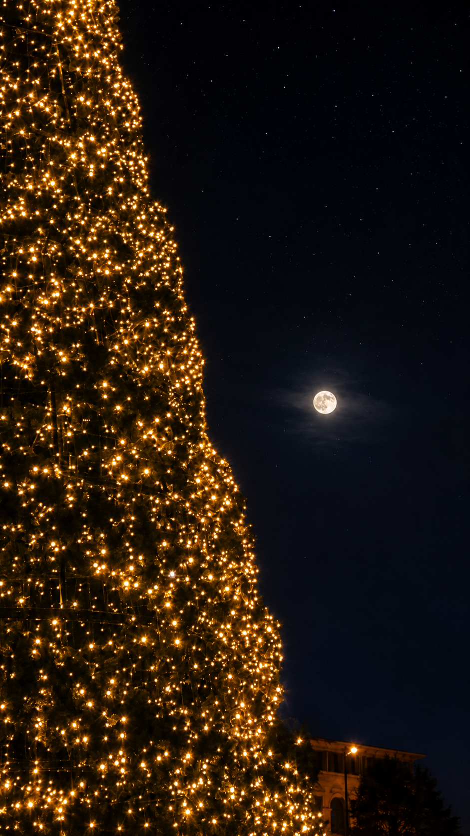 Lit Christmas tree beside a bright full moon in a dark night sky