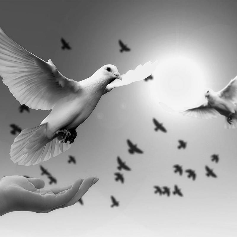 Two white doves flying above outstretched hands with more birds in a bright sky
