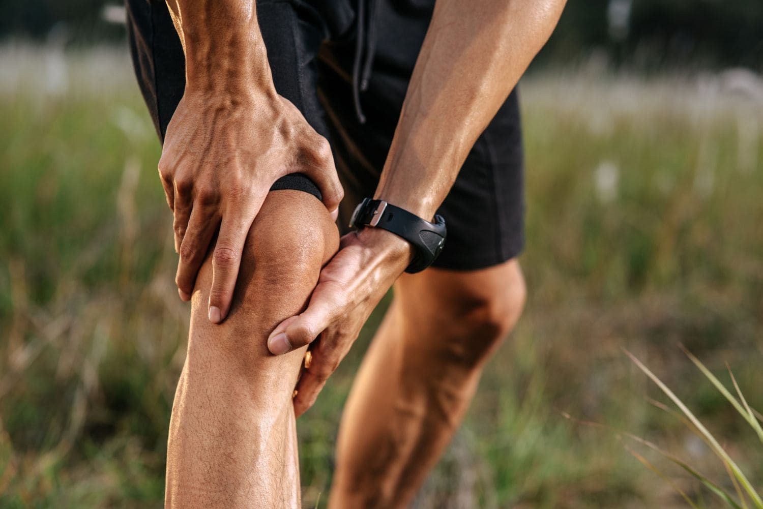 joint pain chiropractor Tampa