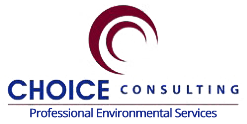 Choice Consulting