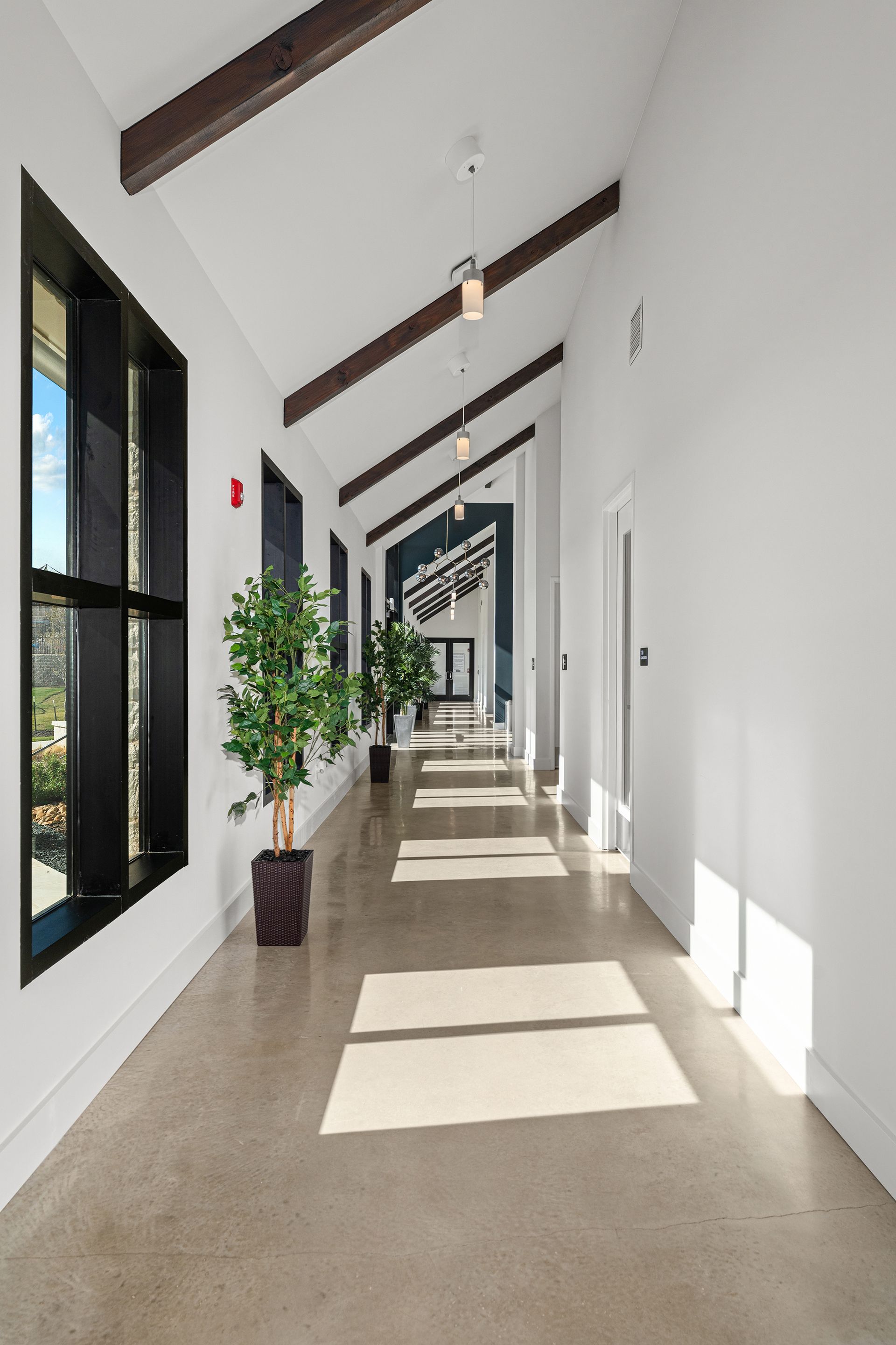 A sunlit, modern hallway with white walls, high vaulted ceiling, exposed dark wood beams, concrete floors, and greenery.