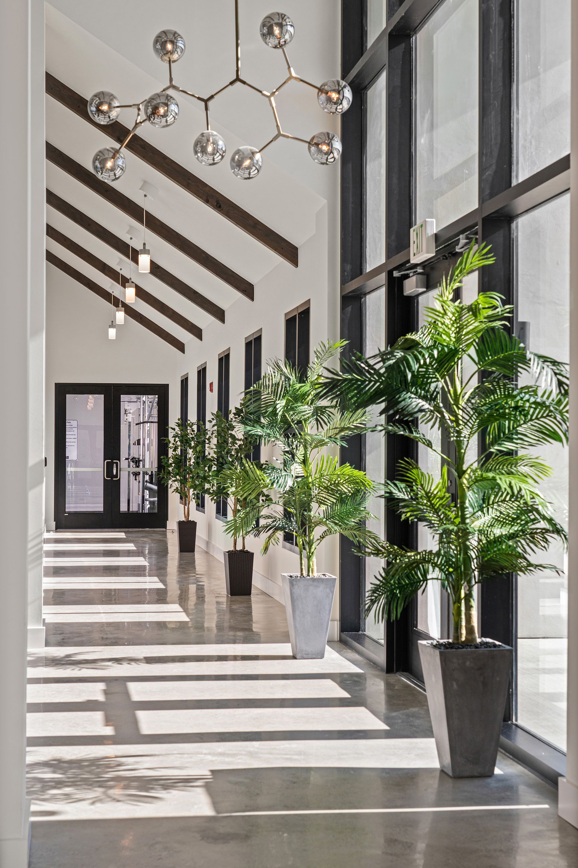 A bright indoor hallway with vaulted, beamed ceilings, a modern light fixture, and potted plants lining a glass wall.