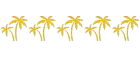 Palmeira - 006