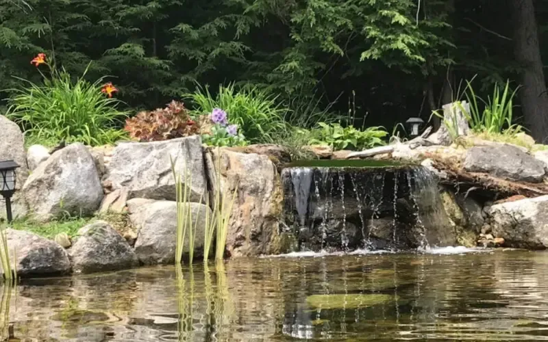 ponds and water features