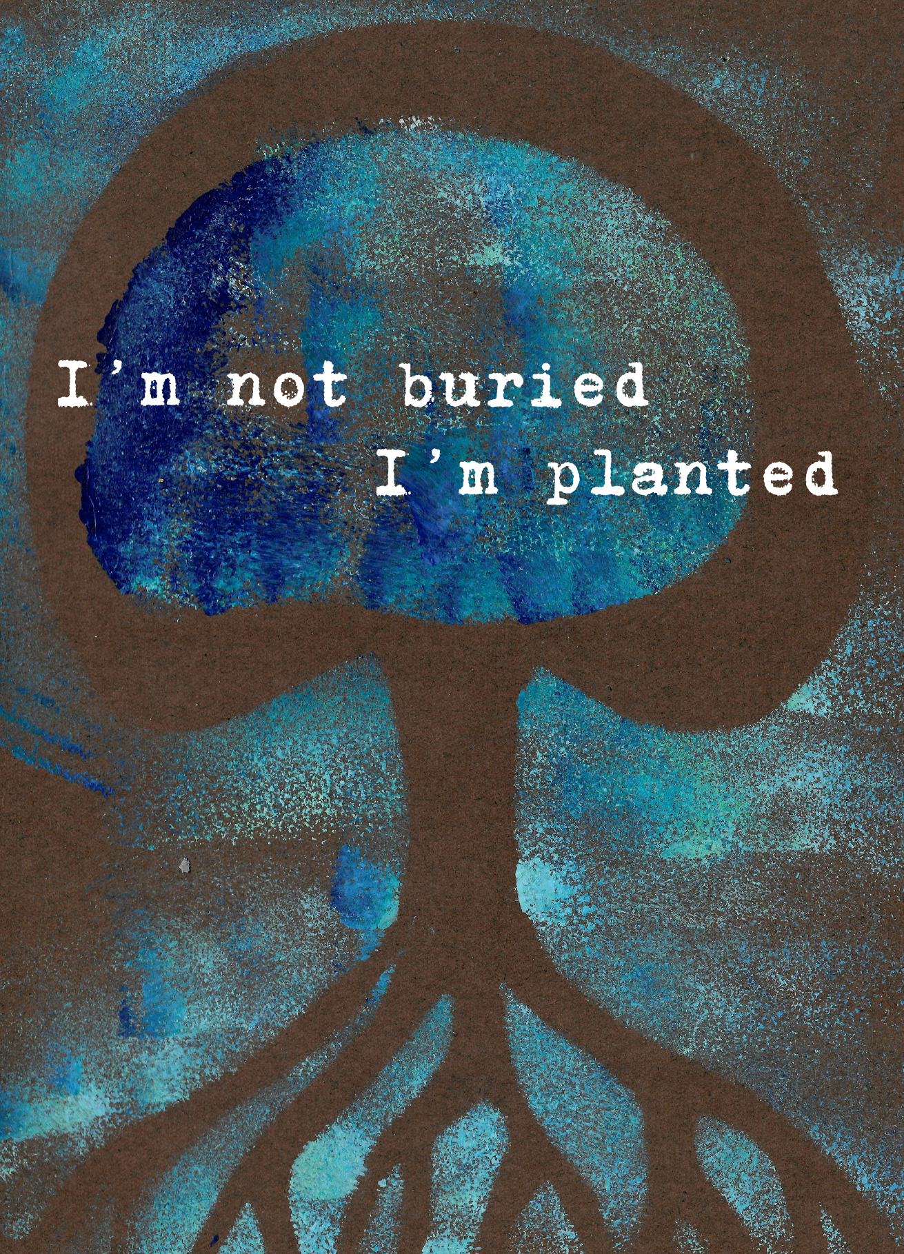 kaartje planted