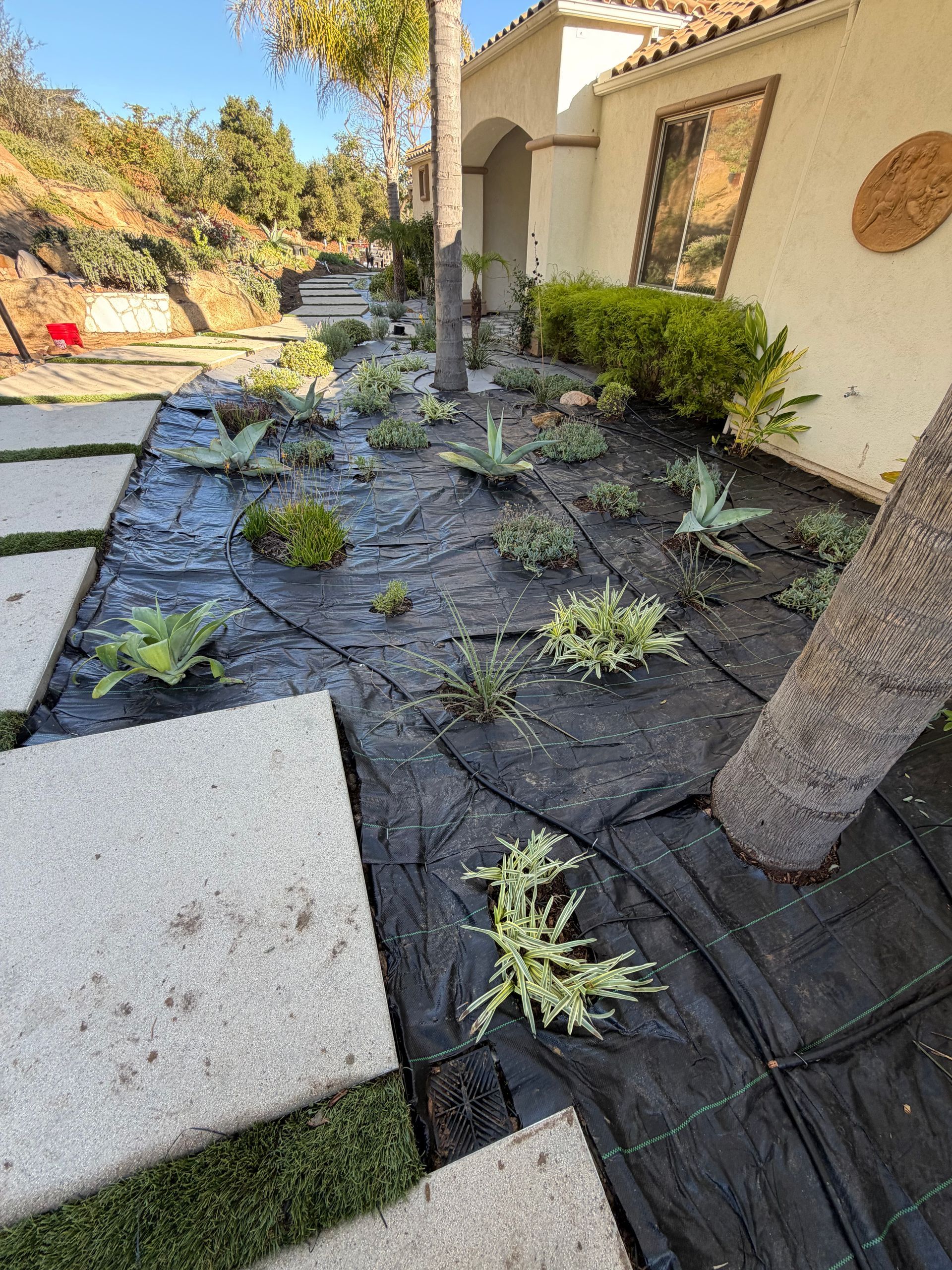 Front yard landscaping with black weed barrier, small planted succulents, stepping stones, and house exterior