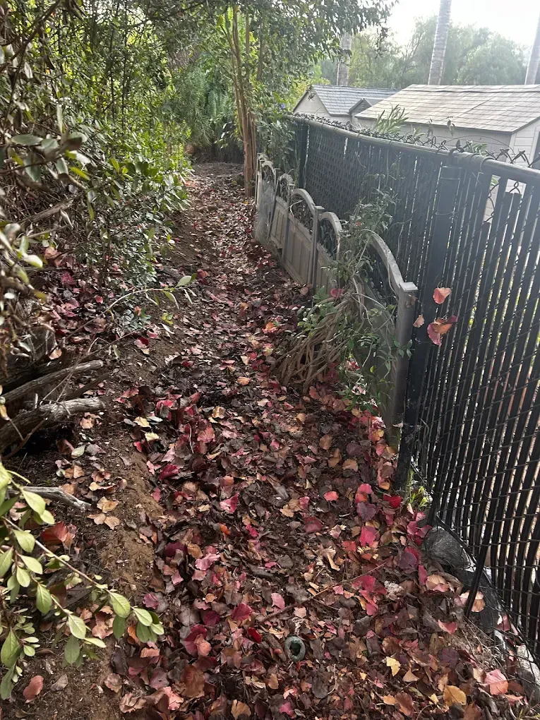 Leaf-covered narrow path beside a black fence and stone wall, lined with greenery and fallen red leaves.