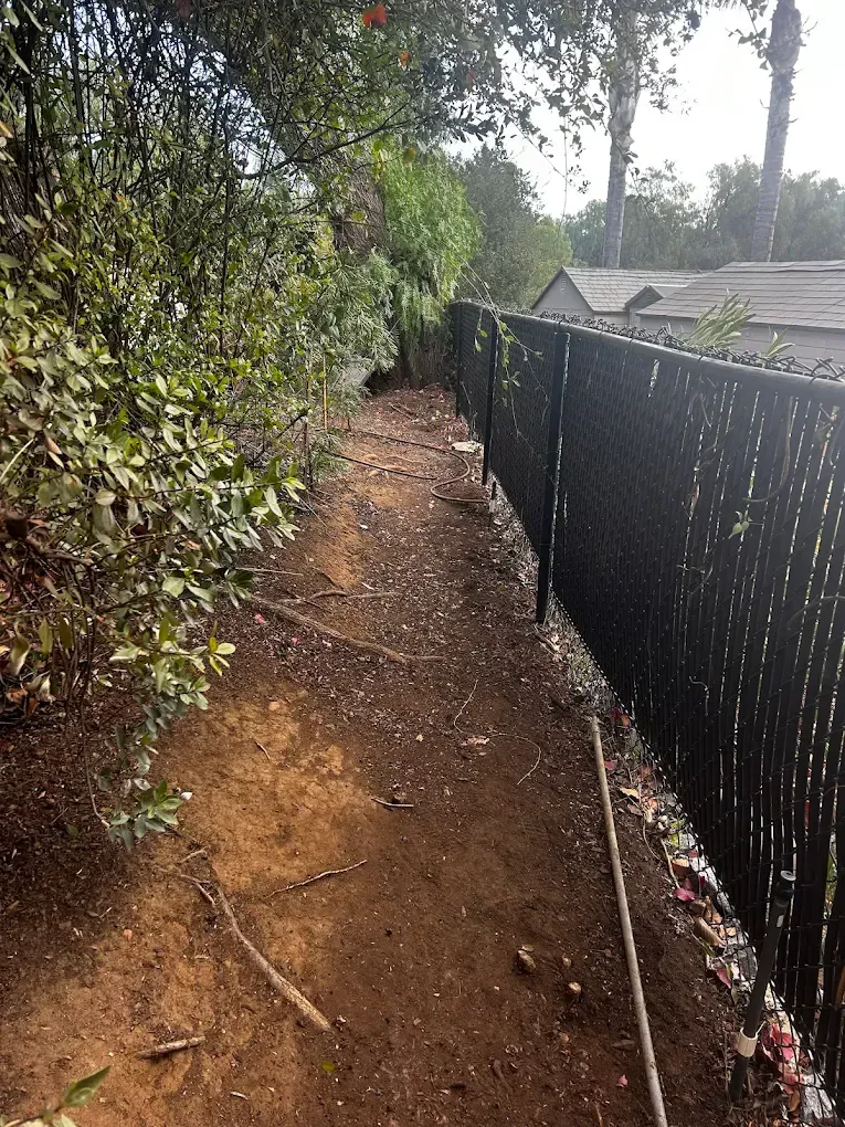 Narrow dirt path beside a black fence, bordered by dense greenery and scattered debris.