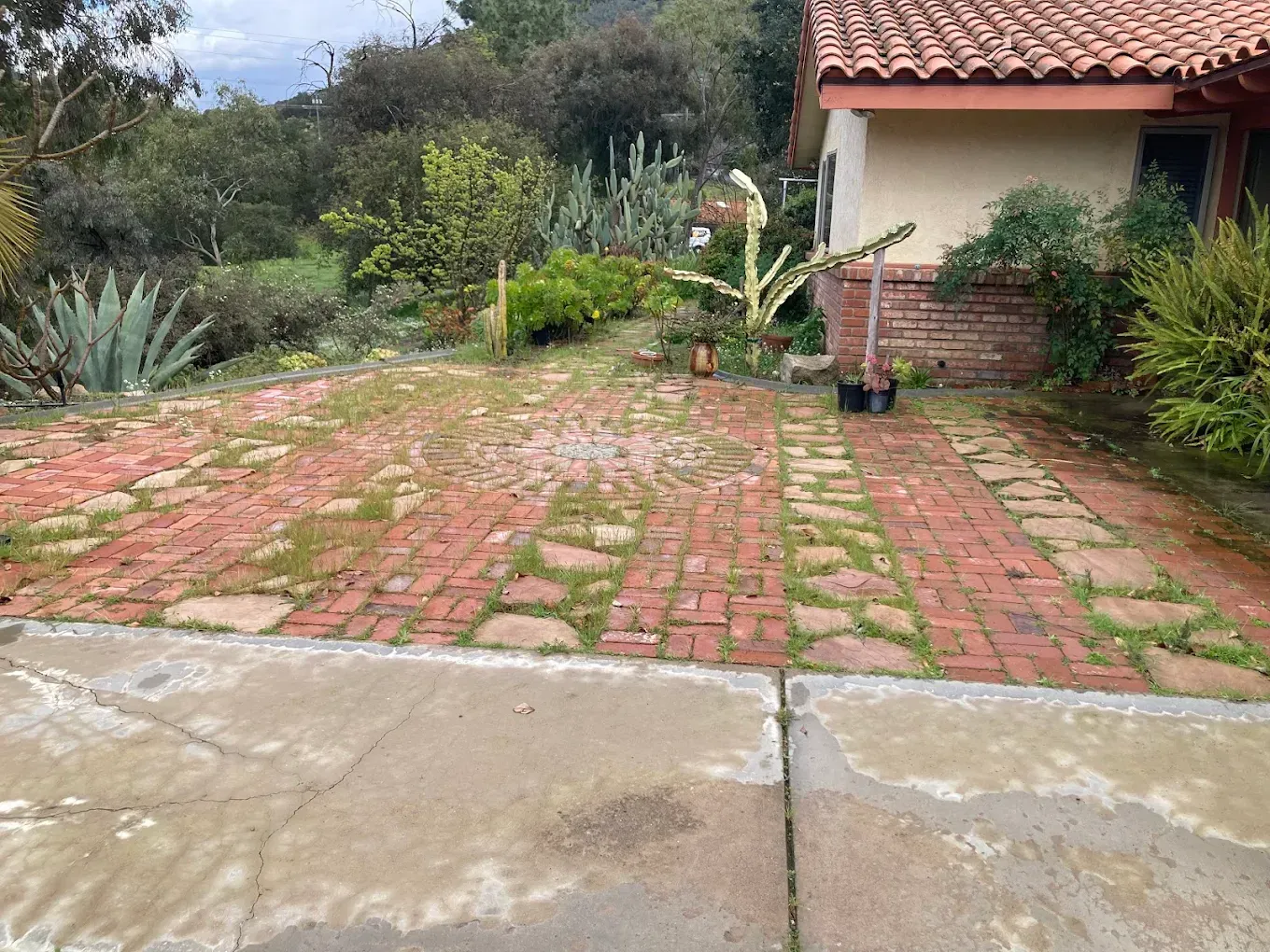 Brick-paved driveway beside a house with a tiled roof, surrounded by greenery and a small potted plant.