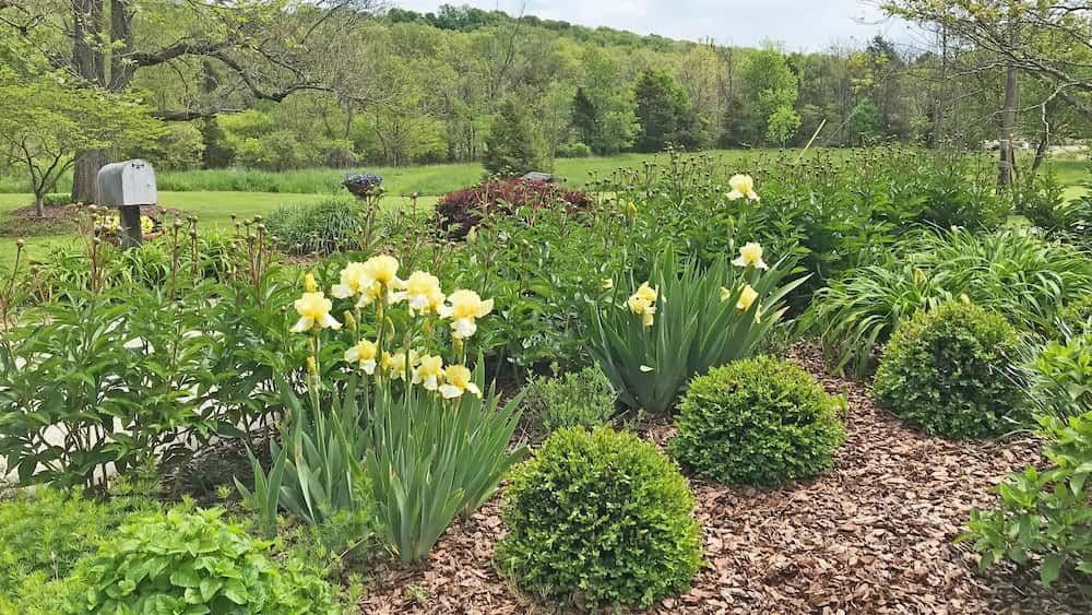 Tweed Landscape Supplies Murwillumbah