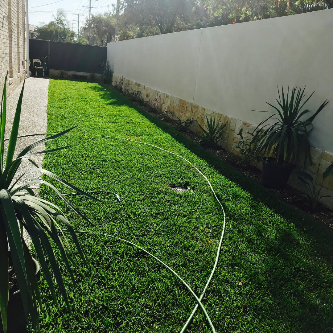 Backyard with Green Grass, a White Wall, and A Garden Hose on The Lawn — Tweed Landscape Supplies in Tweed Heads, NSW