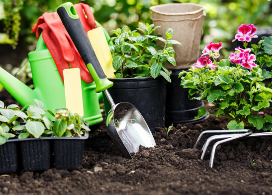 Gardening Tools and Potted Flowers in Soil — Tweed Landscape Supplies in Tweed Heads, NSW
