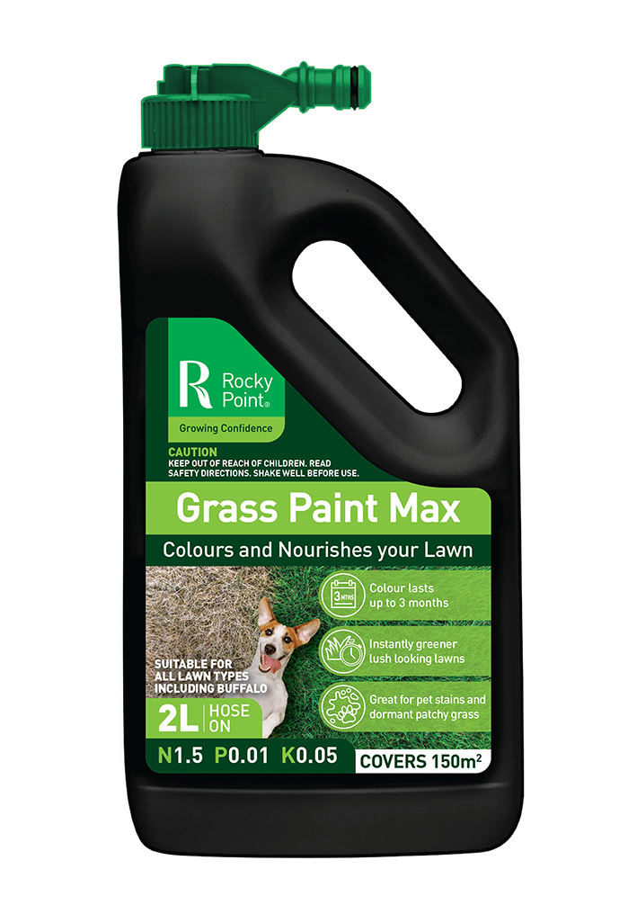 Rocky Point Grass Paint Max 2Ltr