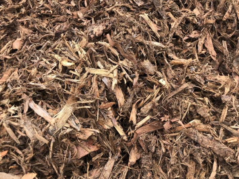 Hoop Pine 25mm (1 inch)