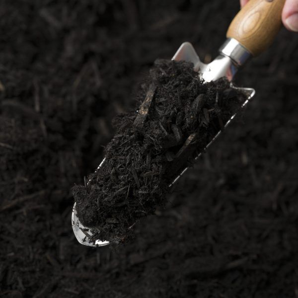 Black Renewables Mulch — Tweed Landscape Supplies in Tweed Heads, NSW
