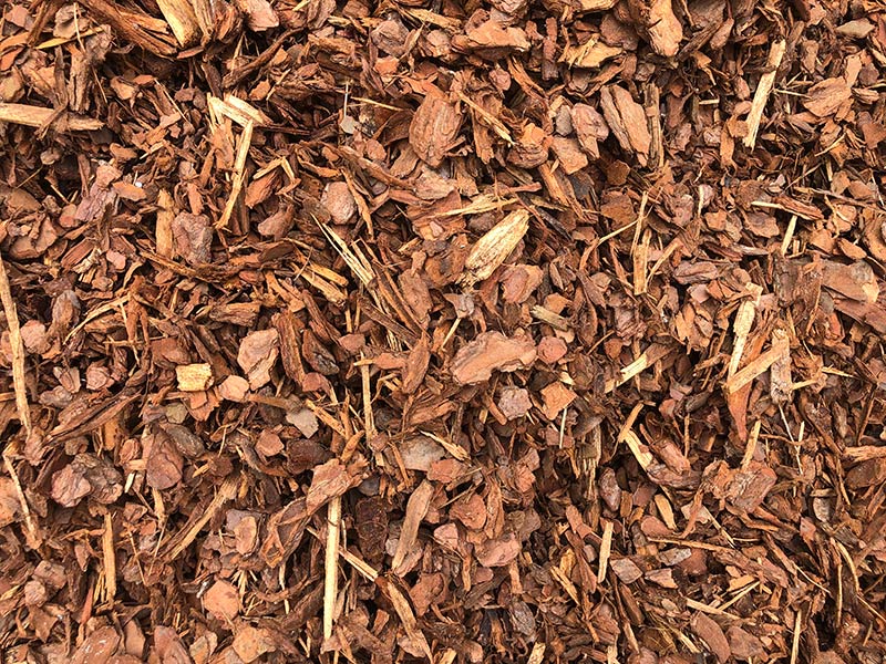 Pine Bark 25mm (1 inch)