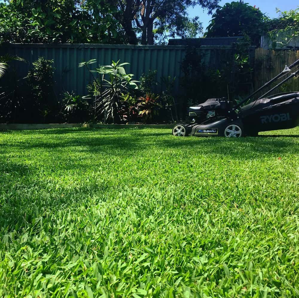 Sunny Backyard with A Green Lawn, Fence, Plants, and A Lawn Mower — Tweed Landscape Supplies in Tweed Heads, NSW