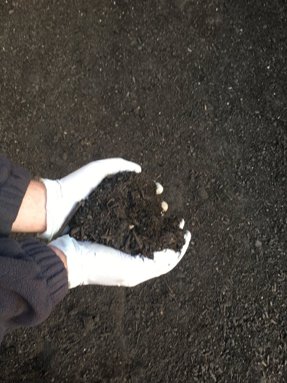 Quality Turf Underlay — Tweed Landscape Supplies in Tweed Heads, NSW