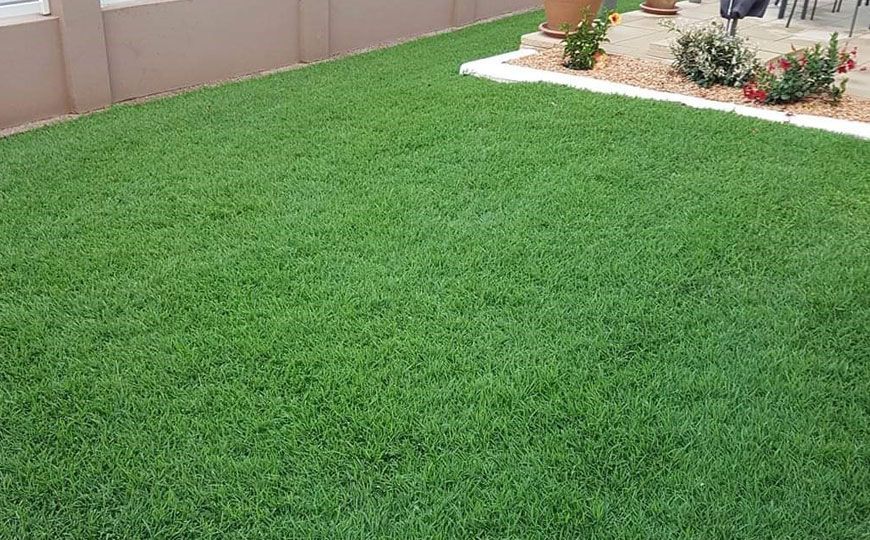 Green Artificial Turf Lawn Beside a Beige Wall, with A Small Landscaped Garden — Tweed Landscape Supplies in Tweed Heads, NSW