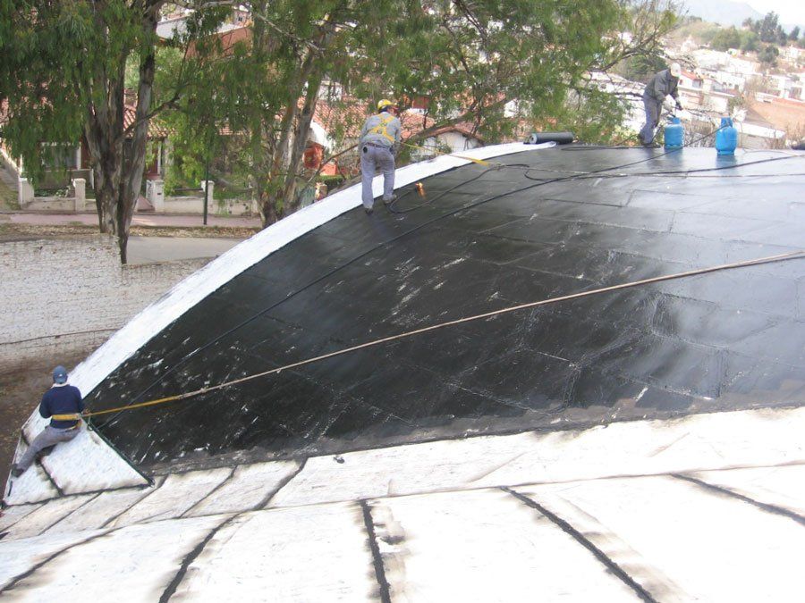 Liceo Membranas