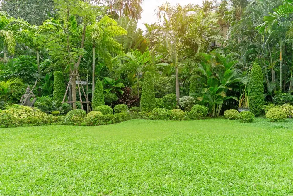 A large lush green field in a park surrounded by trees and bushes.